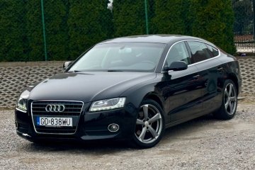 SPORT 180KM Automat Xenon Led Pardistance