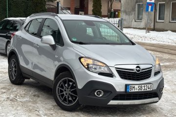 Navi Parkdistance IntelliLINK