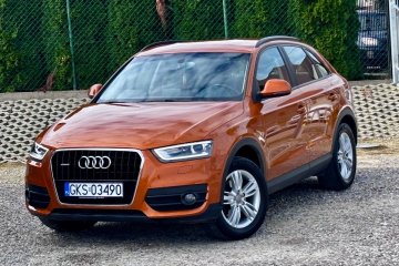 QUATTRO Navi Xenon Led Parkdistance Hak