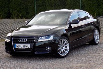 SPORT 180KM Automat Xenon Led Pardistance